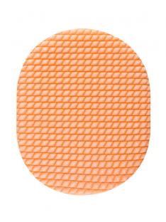 BNCS1005